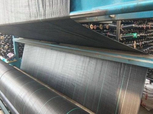 防草布生產廠家及經緯編布銷售聯(lián)系方式